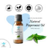 30ml Pure Peppermint Essential Oil