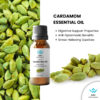 30ml Pure Cardamom Essential Oil