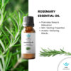 30ml Pure Rosemary Essential Oil